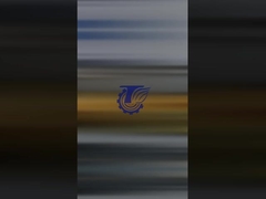 La valve de commande Komatsu PC1250-8 (n° de pièce: 709-15-94000)